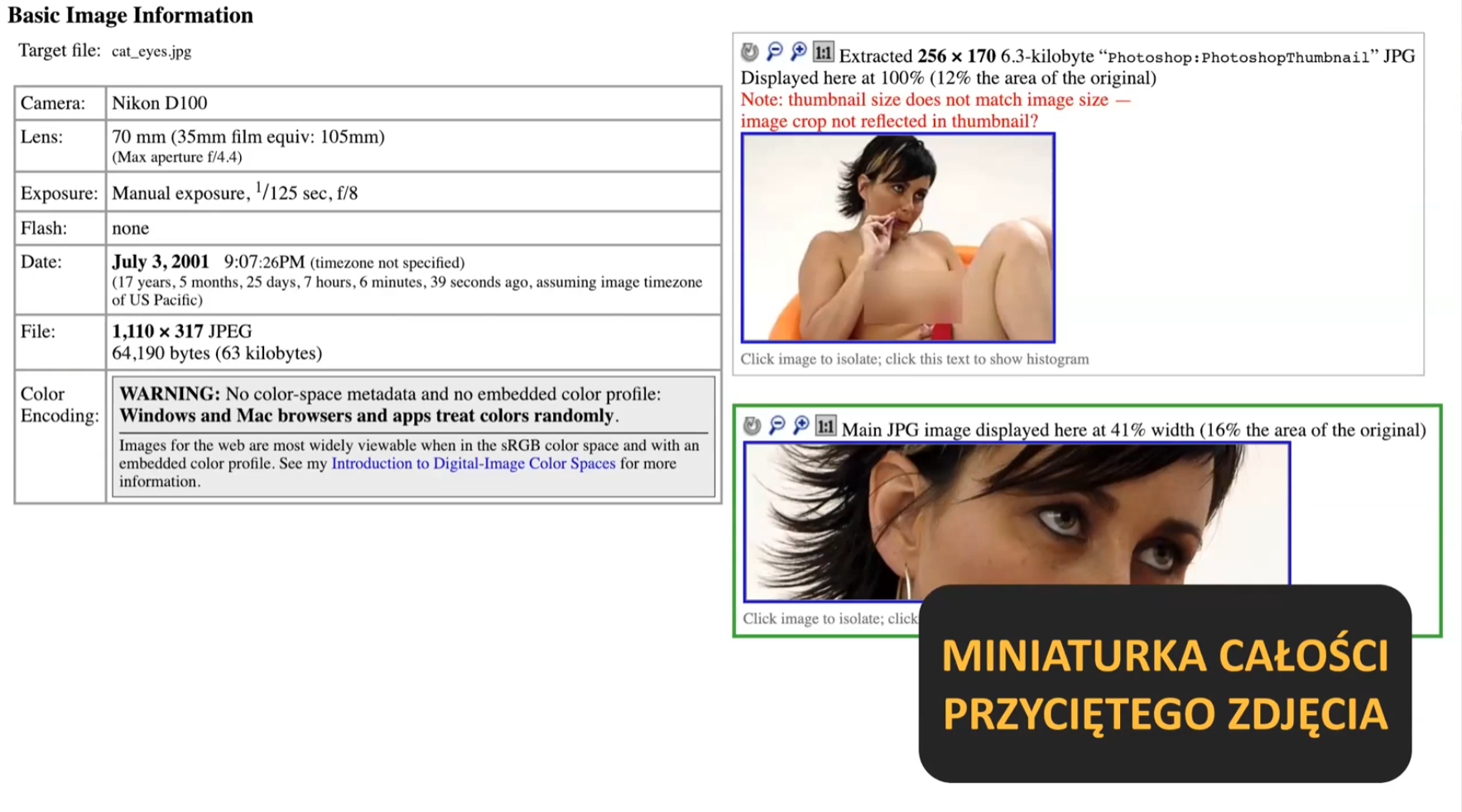 Ukryte dane w plikach – czyli jak metadane mogą przydać się podczas testów penetracyjnych